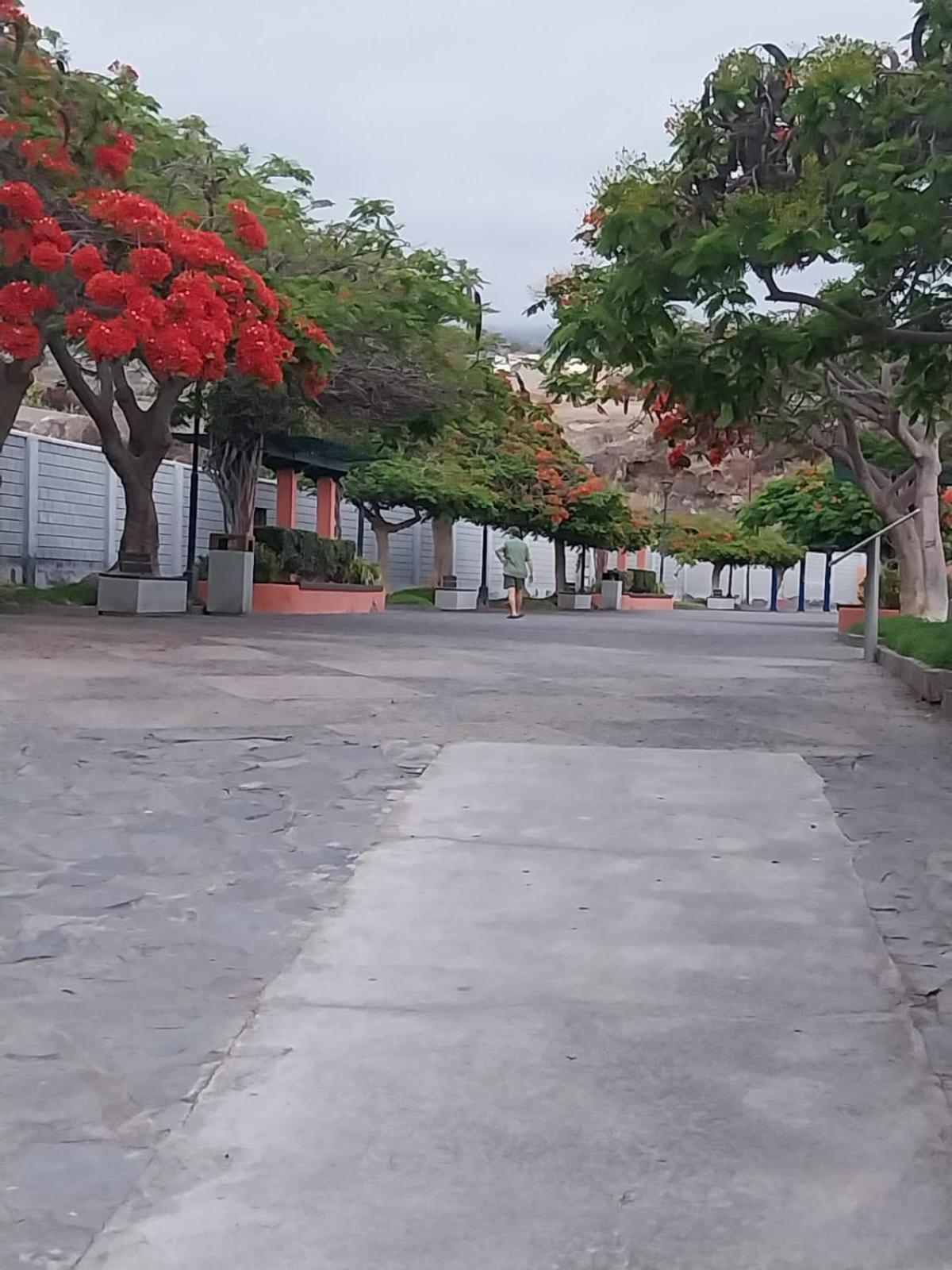 Mi Casita Tenerife Sur Free Wifi E Ac Arona  Extérieur photo